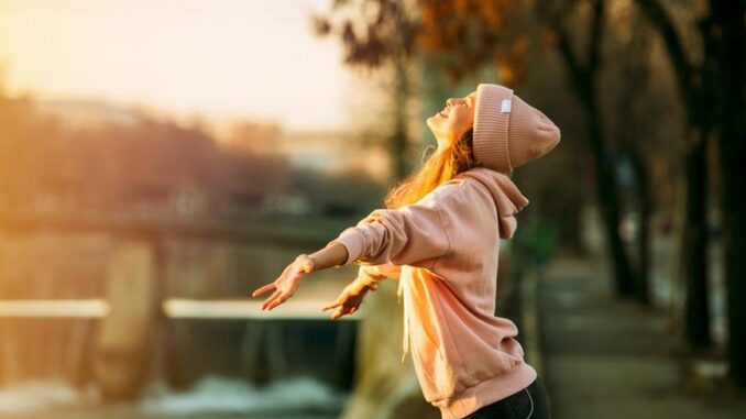 The Vitamin D Fact: Can You Get Too A lot Vitamin D?