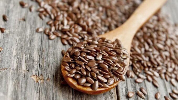 7 Most Essential Well being Advantages of Flax Seeds, Consumption Strategies, and Cautions